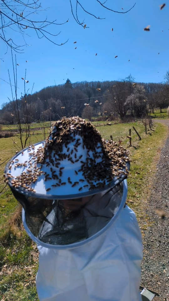 Bienenstock im Garten